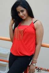 Swathi Deekshith at Ladies and Gentlemen Movie Success Meet